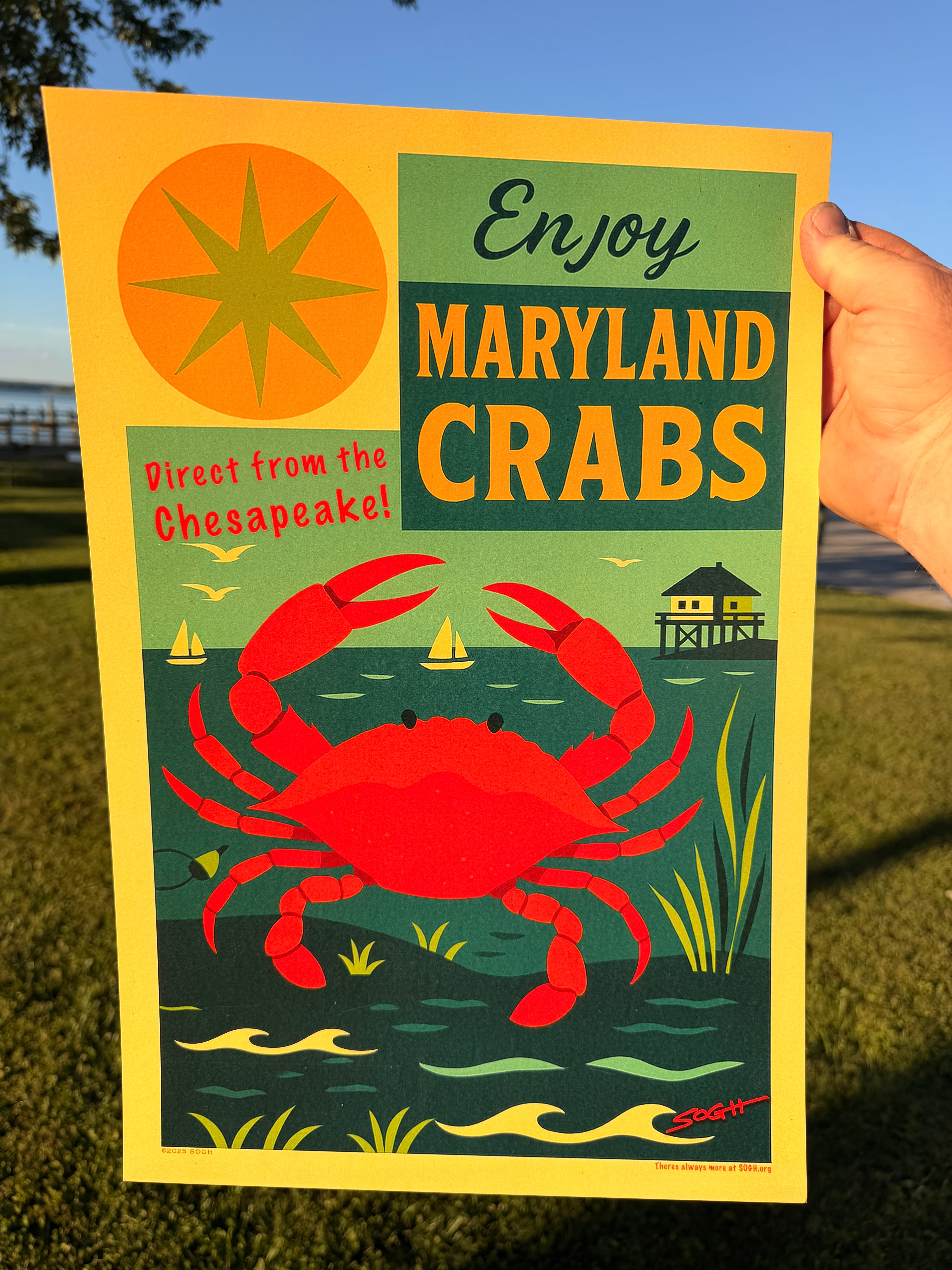 Maryland Crab